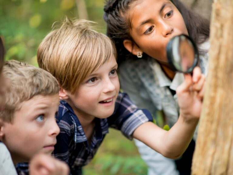 Petits explorateurs, grandes découvertes : Encourager la curiosité chez les enfants