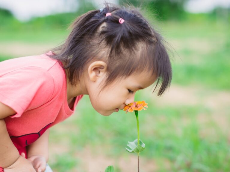 WiFi, c’est fini ! Comment convaincre les enfants que les arbres sont également connectés