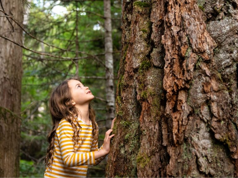 l’herbe est plus verte ailleurs? : Enseigner le respect de la nature